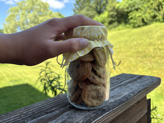 Mighty Mini Chocolate Chip Cookies Jar