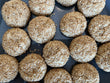 Sesame Tea Cakes